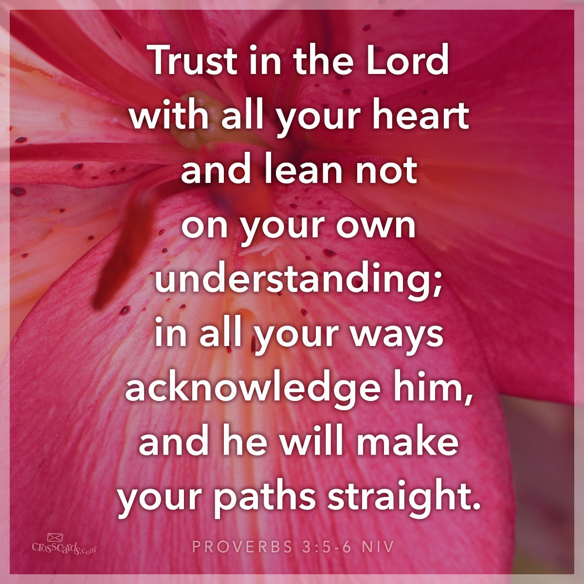 Trust in the Lord with All Your Heart - Inspirations